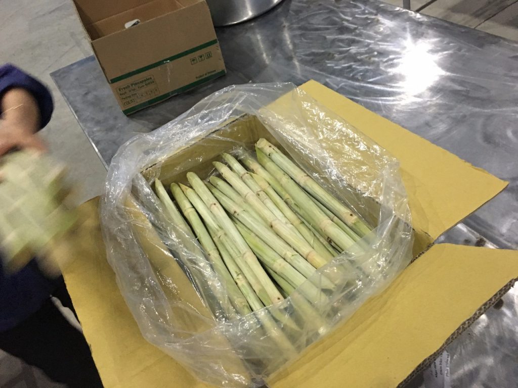sugarcane suppliers