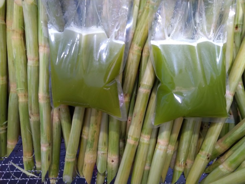 fresh sugarcane juice