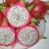 dragon fruit suppliers