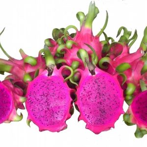 Purple pitaya fruit suppliers